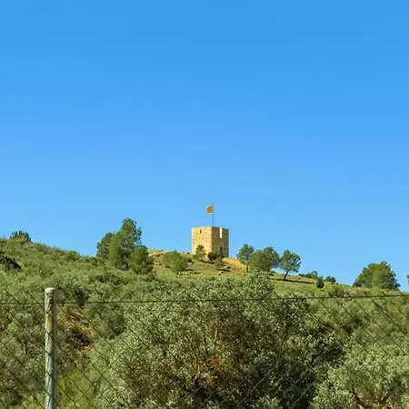 Ebro Barbacoa *